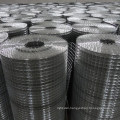 Galvanized / PVC Coated Welded Wire Mesh (HYJ--22)